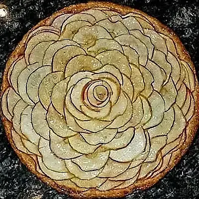 French Apple Tart (10-inch)